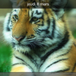 Mise à jour officielle Apple iOS 5.1 pour iPhone, iPod et iPad ! 3