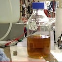 telephone urine