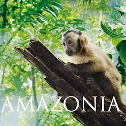 amazonia 2013