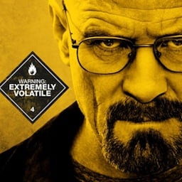 VRAI Walter White