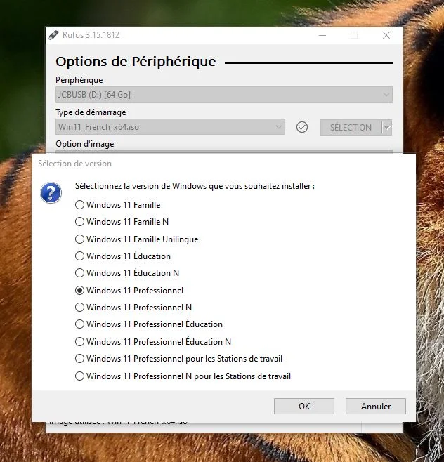 choisir version Windows 11