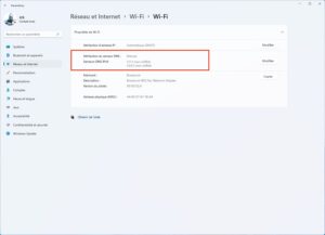 choisir dns pour windows 11