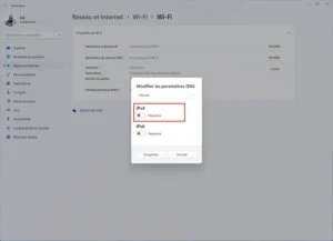 dns ipv4 windows 11