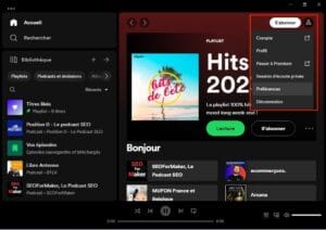 Ne pas lancer Spotify au demarrage sur Windows