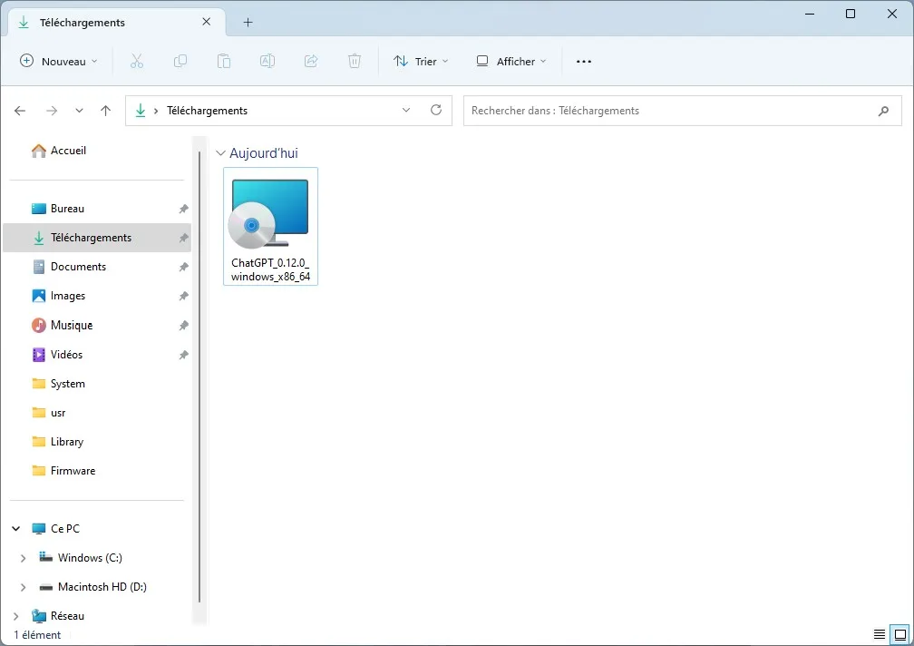 Installer chatGPT pour Windows 11, 10, 8... 2 chatgpt windows
