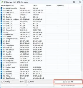 test dns rapide